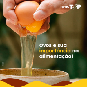 Leia mais sobre o artigo OVOS e sua importância na alimentação