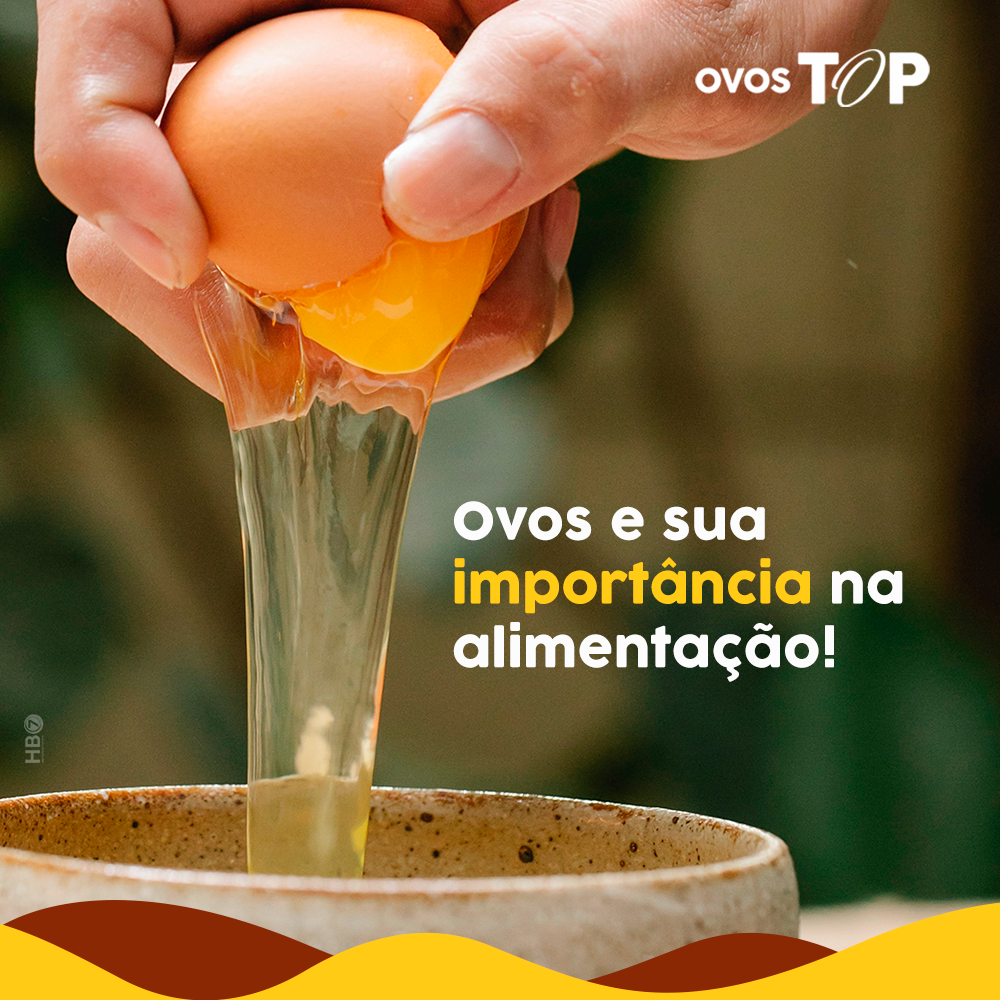 No momento, você está visualizando OVOS e sua importância na alimentação