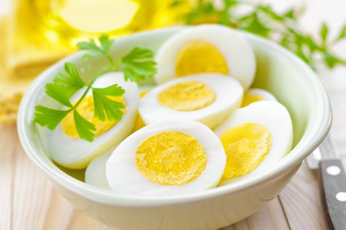No momento, você está visualizando Ovo –  depois do leite materno é o alimento mais nutritivo