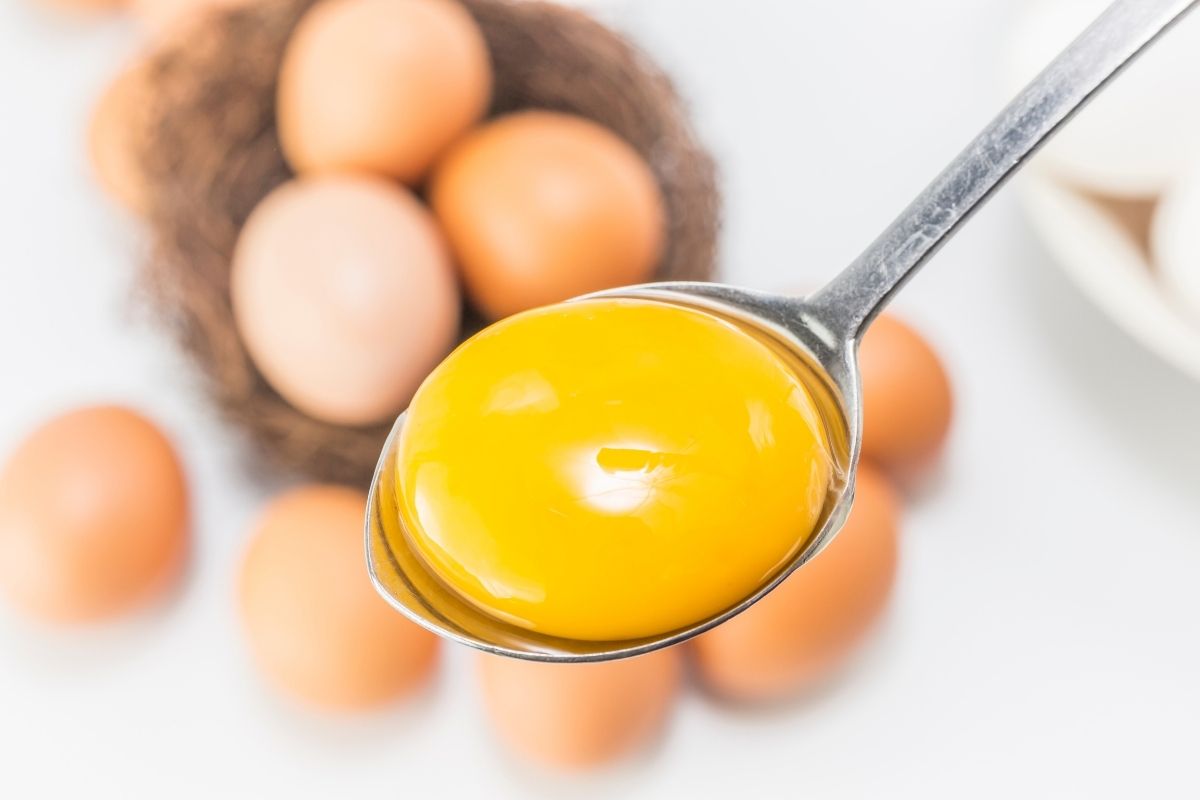 No momento, você está visualizando Ovo de galinha: partes e valor nutricional