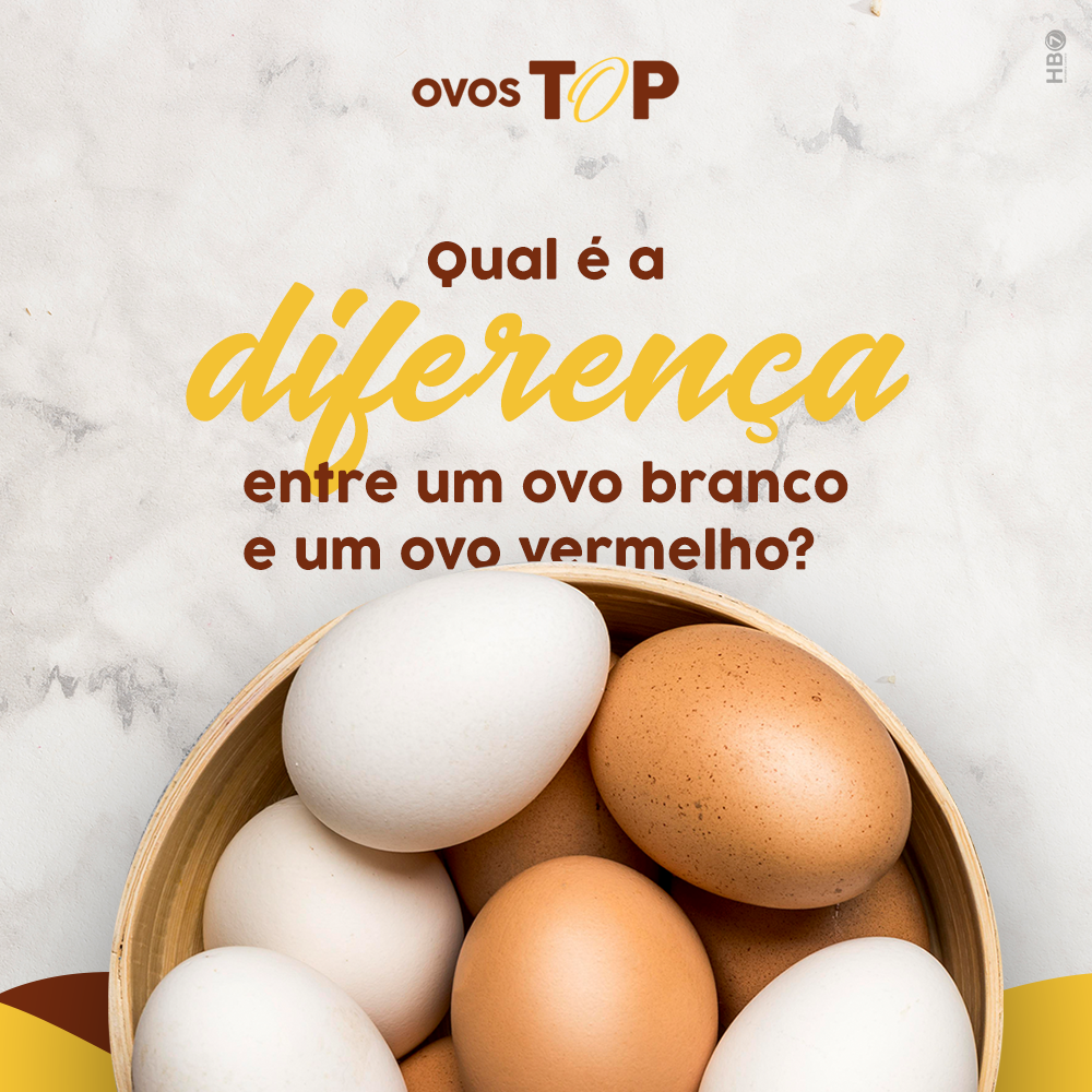 Leia mais sobre o artigo <strong>Qual é a diferença entre um ovo branco e um ovo vermelho?</strong>