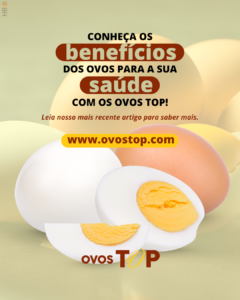 Leia mais sobre o artigo Os Benefícios dos Ovos para a Saúde e Como a Ovos Top se Destaca